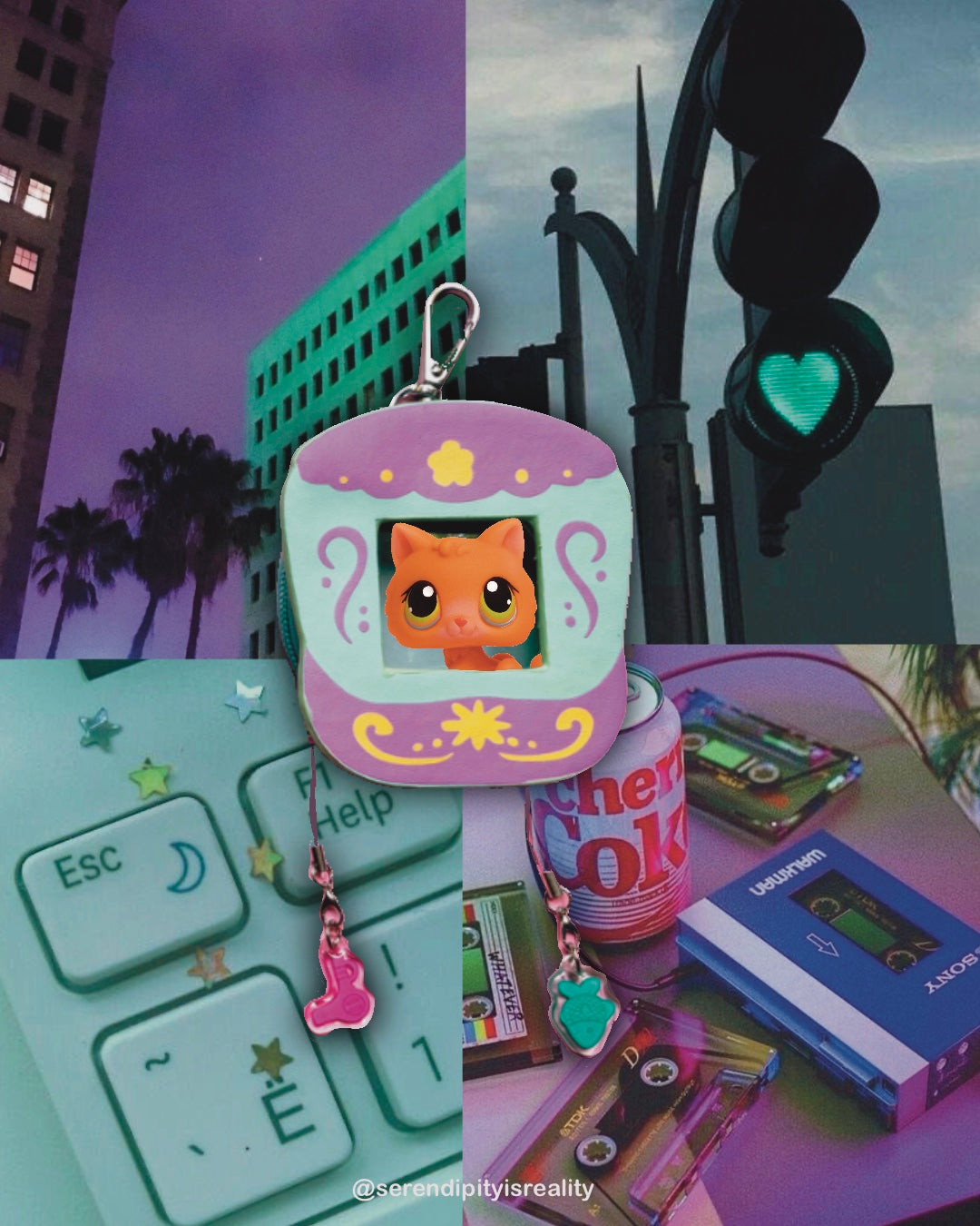 Carrying Cases [US SHIPPING ONLY!]